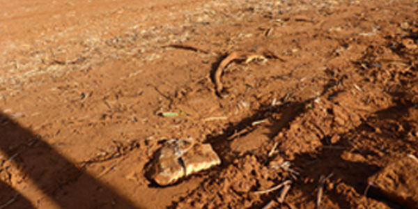 Agricultural land prepared for farming operations